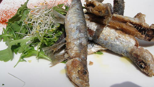 Sardinak frijituta